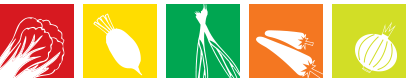 패턴